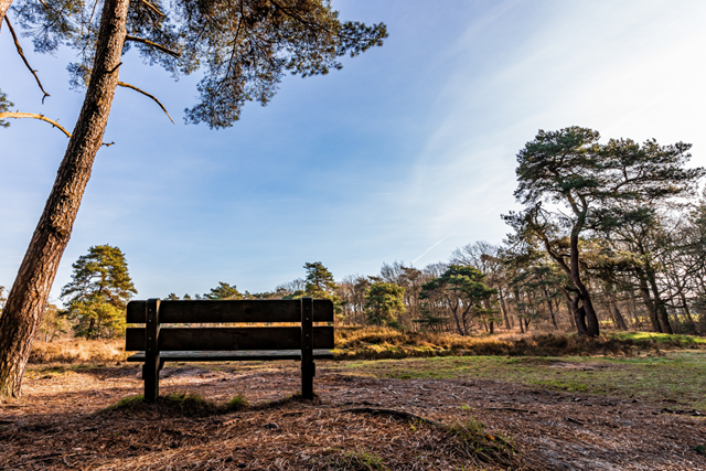 Off Grid Wandelen In Nederland Wandelroutes Zonder Bereik Veluwe