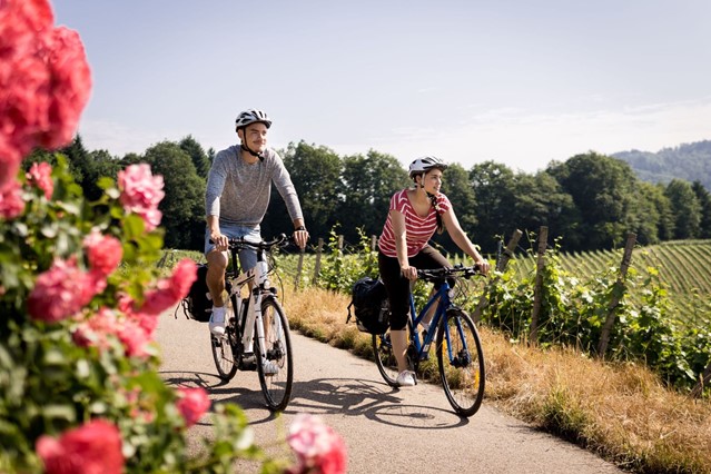 Fietsers op het wijnfietspad in Breisgau. (Foto: © Chris Keller, Schwarzwald Tourismus)