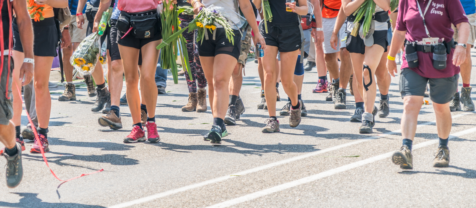 afbeelding van benen op de Via Gladiola tijdens de 4Daagse.