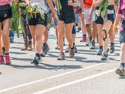 afbeelding van benen op de Via Gladiola tijdens de 4Daagse.