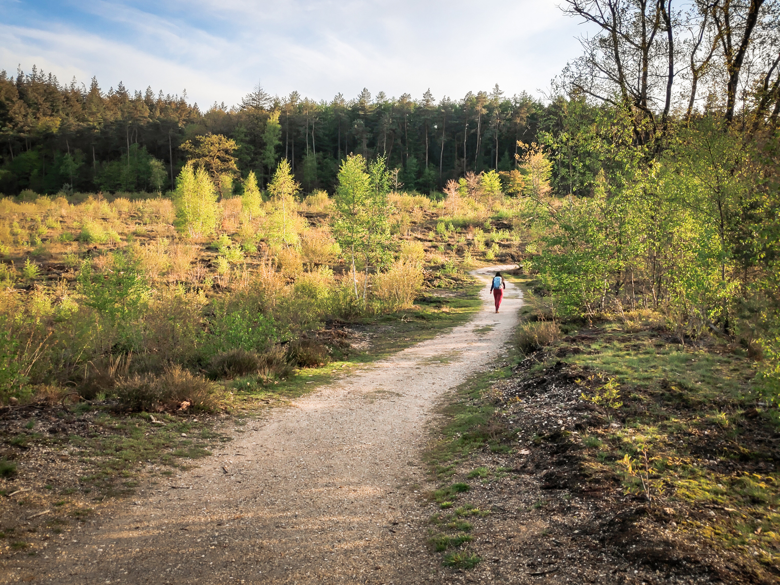 wandelaars op de heide in de zon