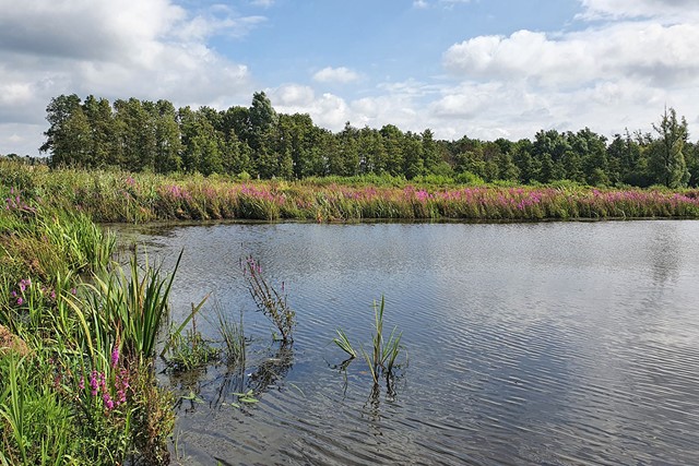 water van de rivier