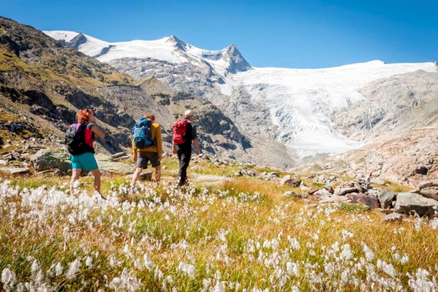 Foto: Nationalpark Hohe Tauern - Martin Ligger