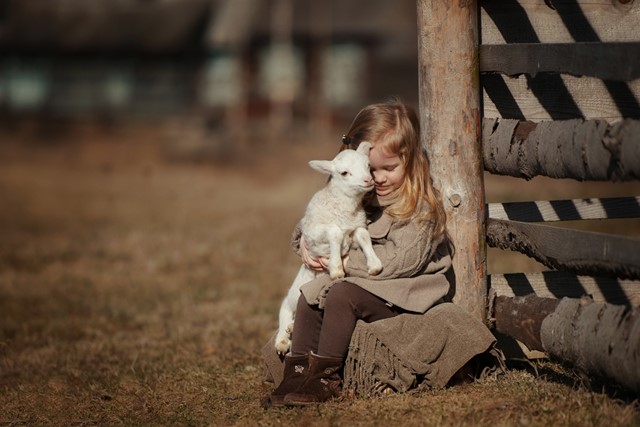 afbeelding van een meisje dat een geitje knuffelt.
