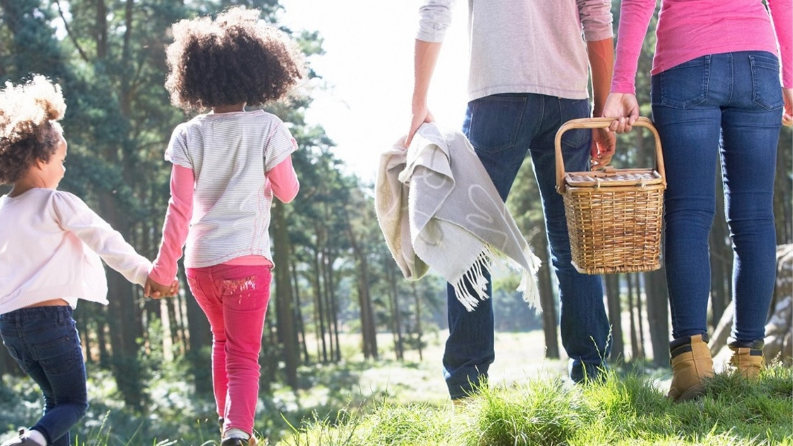 De Mooiste Picknickplekken Van Nederland
