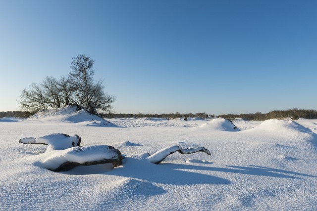 Loonse en Drunense Duinen