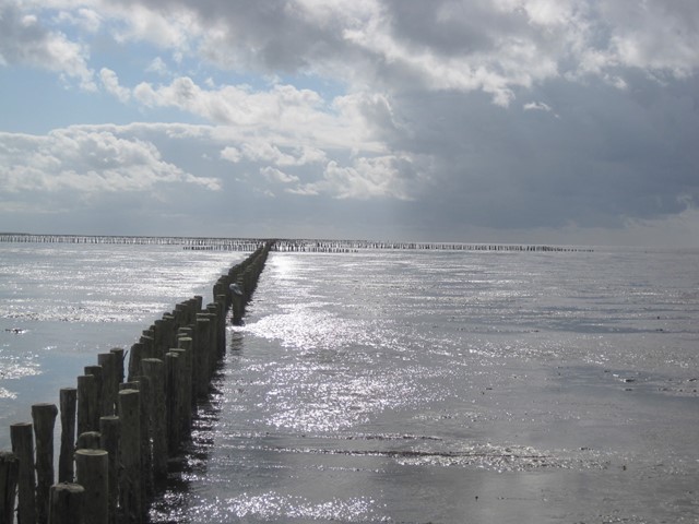 De Waddenzee bij Pieterburen