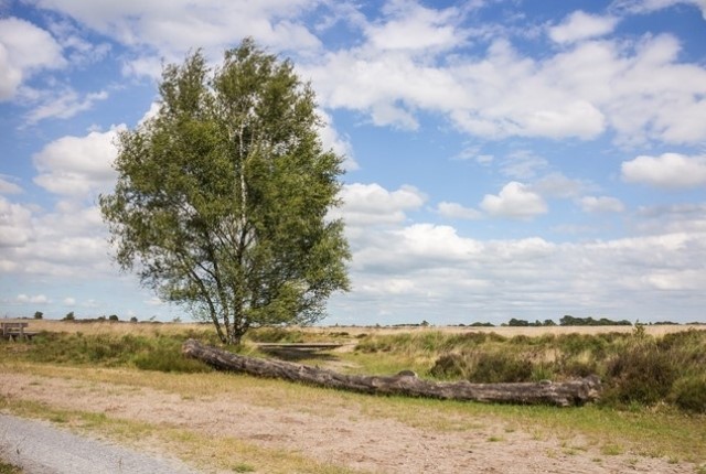 De Mooiste Picknickplekken Van Nederland Rust En Romantiek Op Drentse Heide