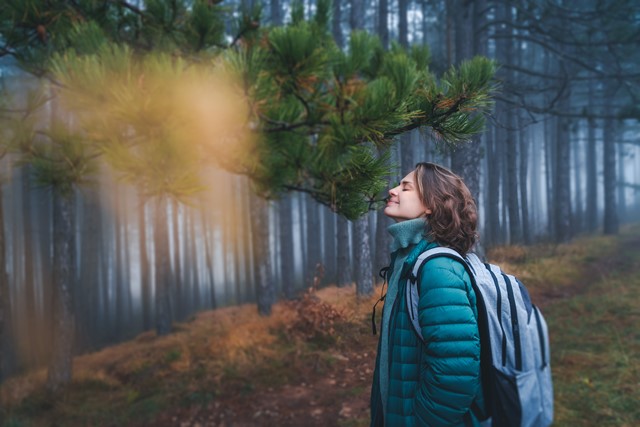 afbeelding van een vrouw die zich concentreert op ademen, in het bos.