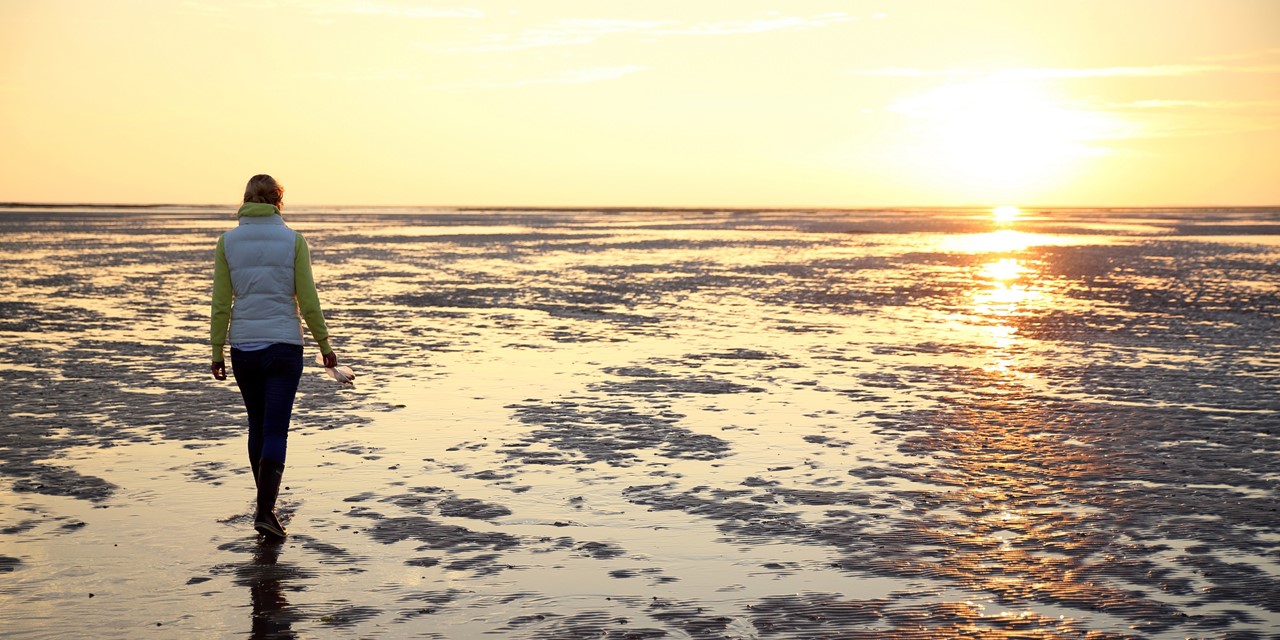Wadloper met ondergaande zon