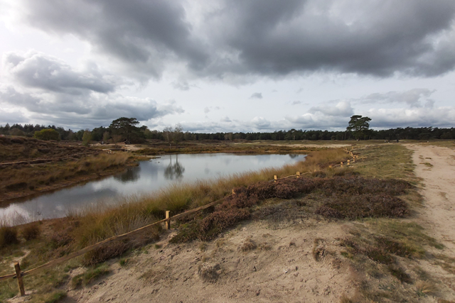 Wandelroute Bornia Heidestein Heide, Stuifzand Zandverstuivingen