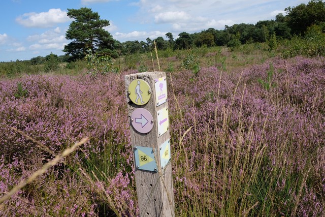 Wandelpadmarkering op de Strijbeekse Heide.