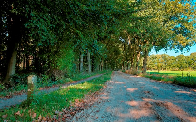 Het Noordlaarderbos