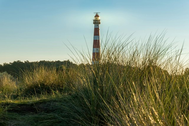 Wandelen in de duinen van Ameland, vuurtoren en blauwe lucht op achtergrond
