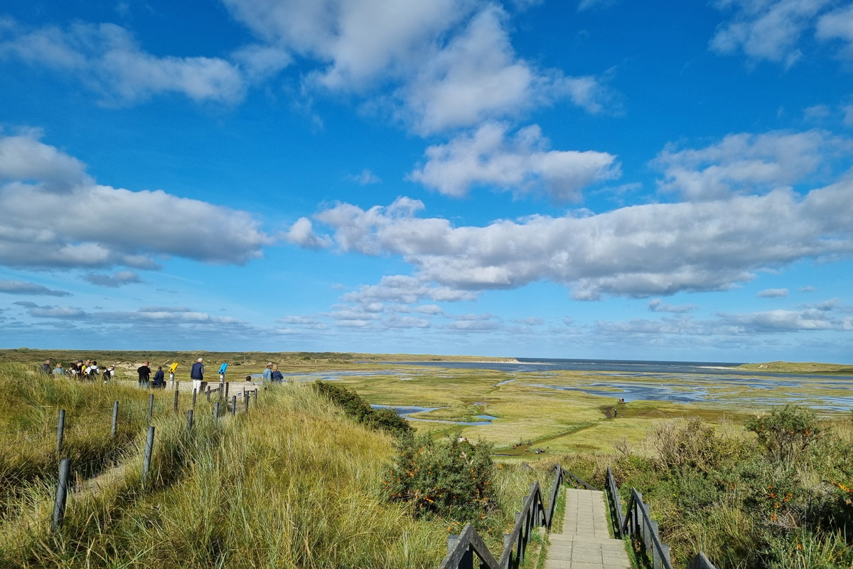 afbeelding van wandelaars op De Slufter met weids uitzicht.