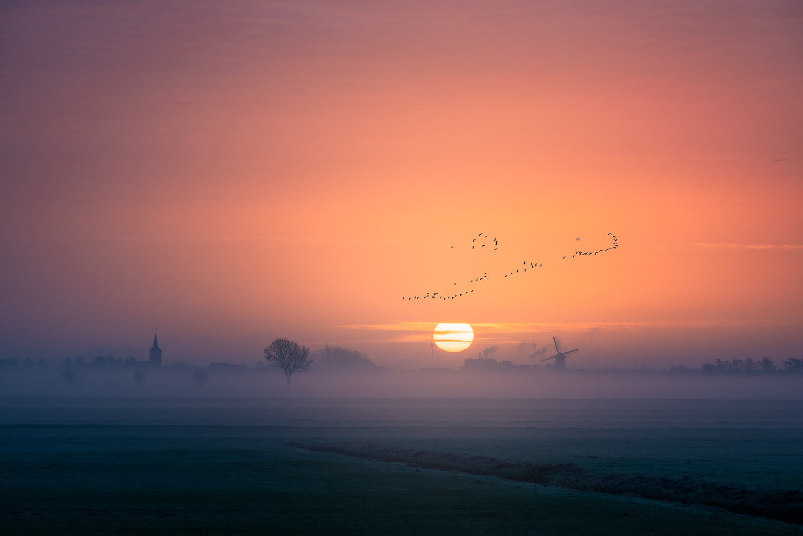 zonsopgang met molen en vogels in de lucht.