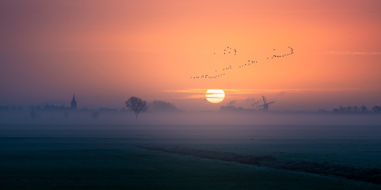 zonsopgang met molen en vogels in de lucht.