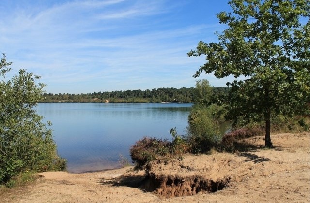 De Mooiste Wandelingen Langs Trekpontjes Of Veerponten Reindersmeer