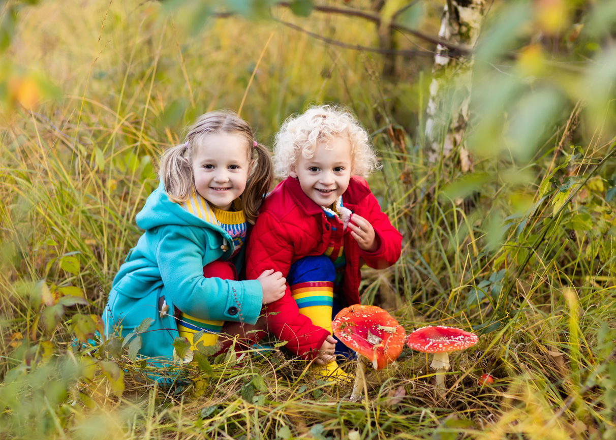 afbeelding van kinderen bij paddenstoelen.