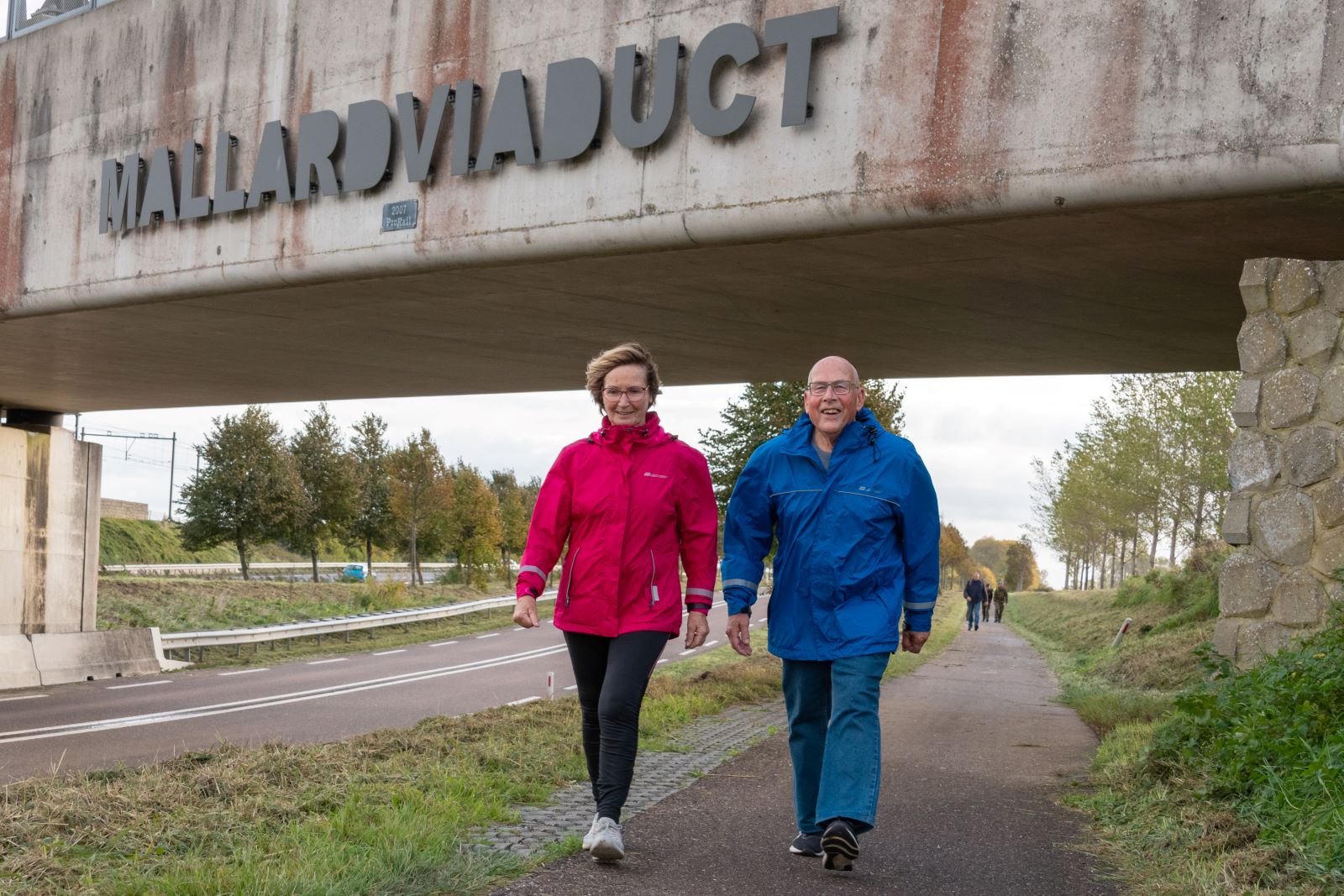 Wandel Mee Met De Eenmalige Mallard Kennedymars: Mallard viaduct