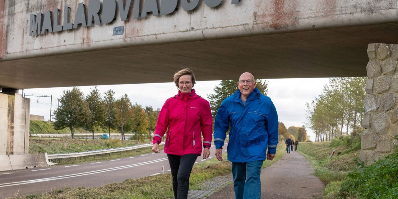 Wandel Mee Met De Eenmalige Mallard Kennedymars: Mallard viaduct