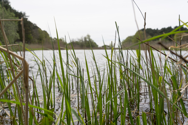 Wandelroute Amsterdamse Waterleidingduinen Tientje Waternet Zwarteveldkanaal
