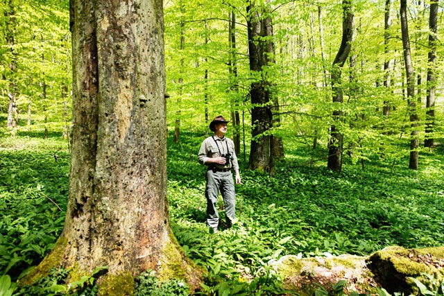 Thüringer Tourismus GmbH