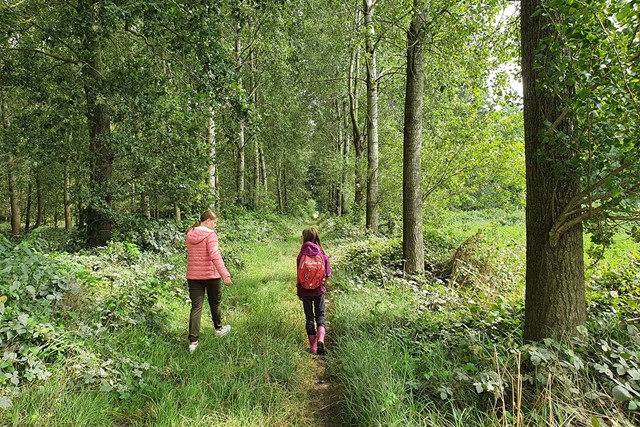 twee meiden wandelen in een groen bospark.