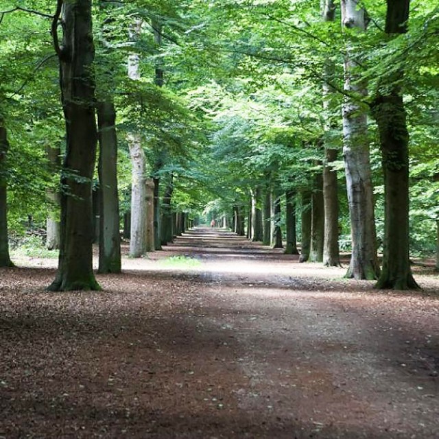 Landgoed Nimmerdor