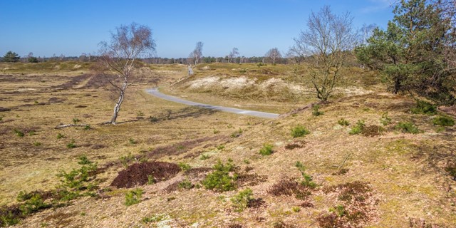 Wandelroute Drenthe Familiepad Drents Friese Wold