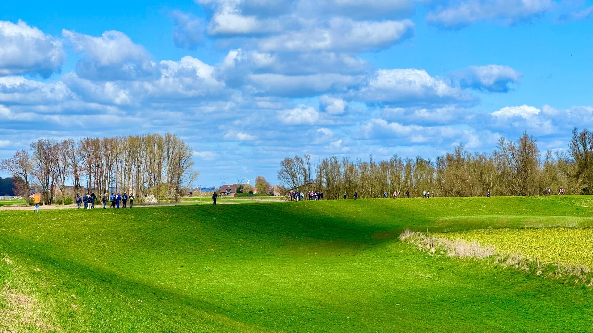 Walk In Freedom 2026 1