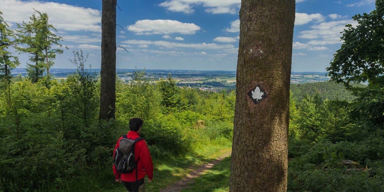 Natur- und Geopark Nedersaksen