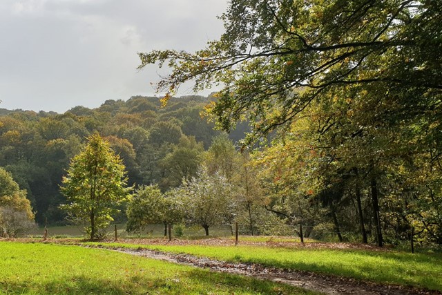 Zes opwarmers voor de 4Daagse Nijmegen; Kalorama Wandeltocht