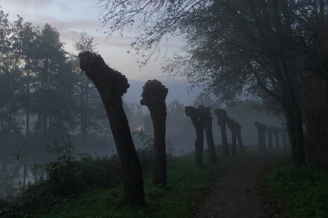 Wandelwoorden Deel 5 Onomkeerbaarheid: Trekvogelpad route