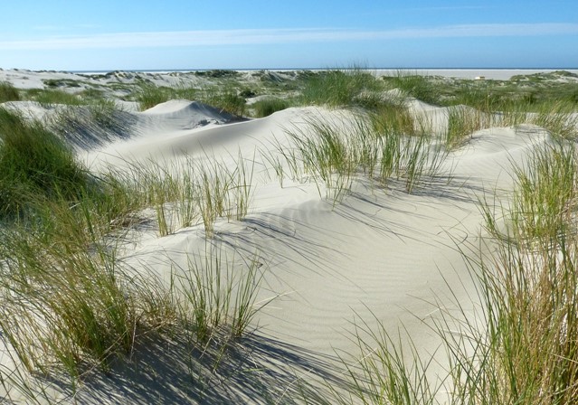 Streekpad 4 | Waddenwandelen