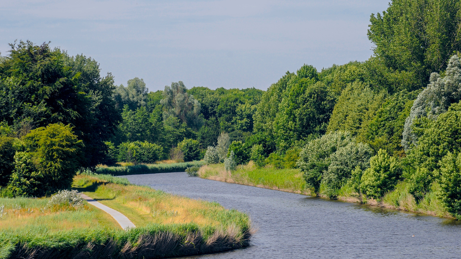Wandelroute Knarbos Flevoland Knarpad