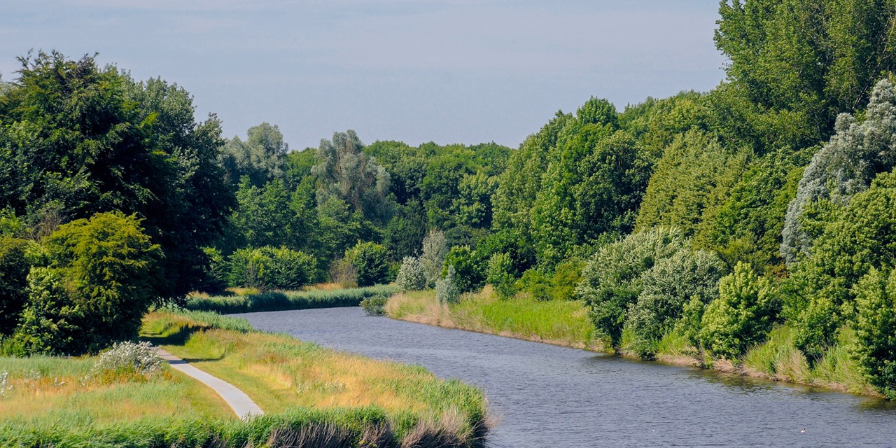 Wandelroute Knarbos Flevoland Knarpad