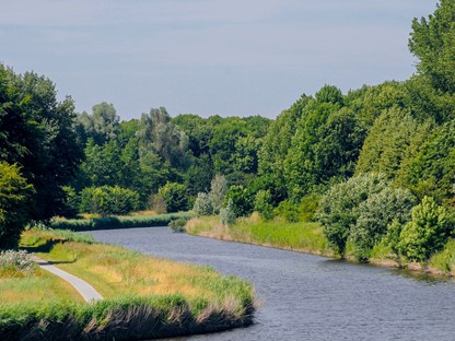 Wandelroute Knarbos Flevoland Knarpad