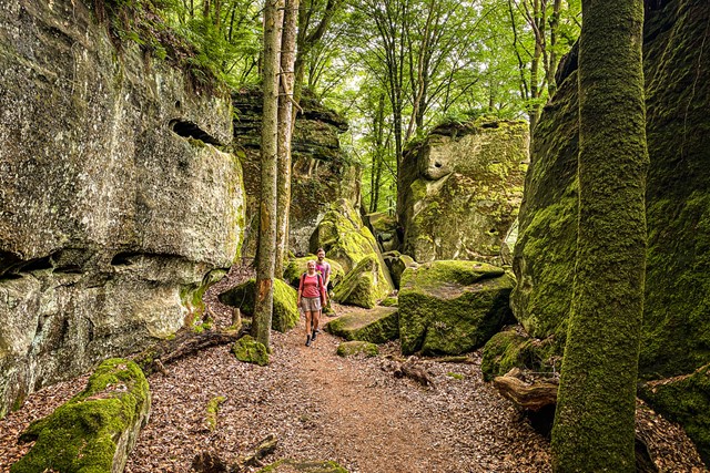 afbeelding van wandelaars op de Mullerthal Trail.