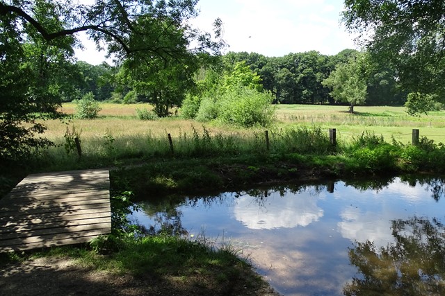 een houten paadje over het water waar de lucht in reflecteert, aan een weiland met gras