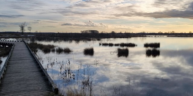 Wandelroute Dwingelderveld Familiepad Noordenveld Vlonderpad