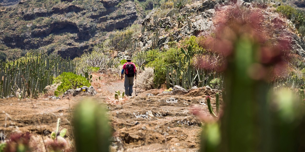 Wandelen in natuurpark Anaga op Tenerife; Chamorga Igueste De San Andrés.