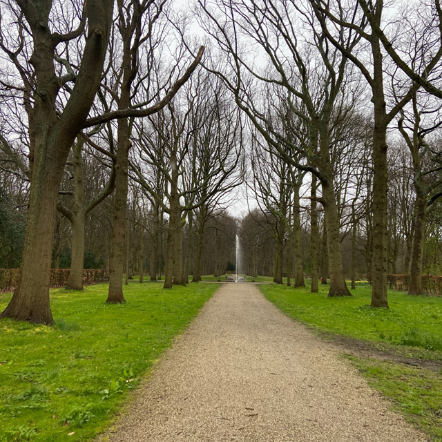 Tussen Stad En Groen Van Haarlem Naar De Kennemer Duinen: Park Driehuis
