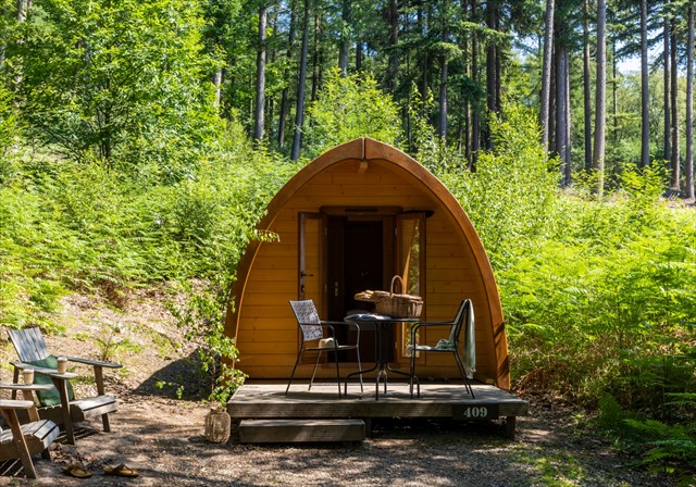 Natuurhuisje in het bos