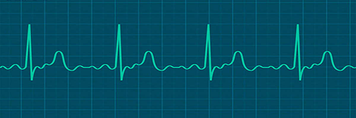 hartslagmeter wandelen
