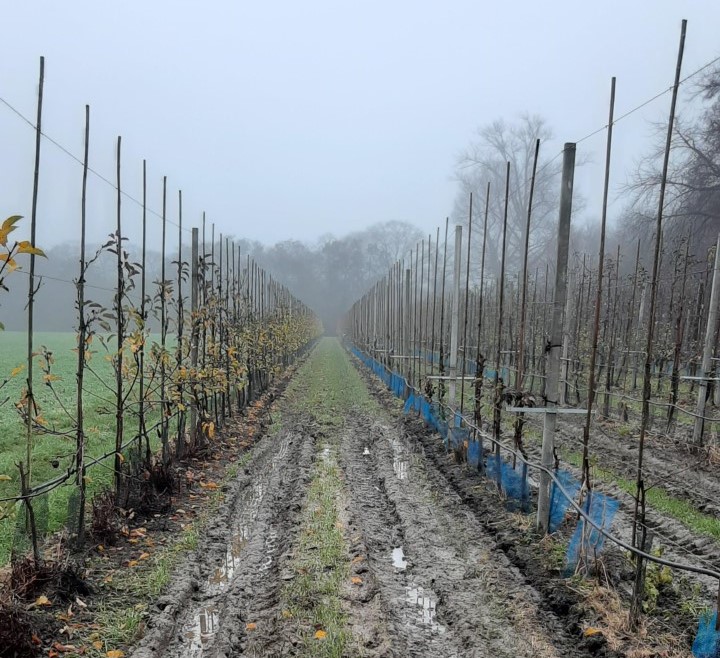 Header | Afspiegeling van 2020