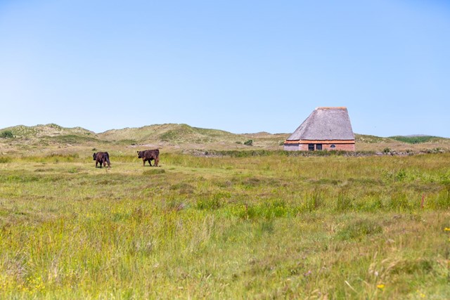 Drie Plekjes Op Texel Die Je Alleen Wandelend Kunt Ontdekken: De Muy