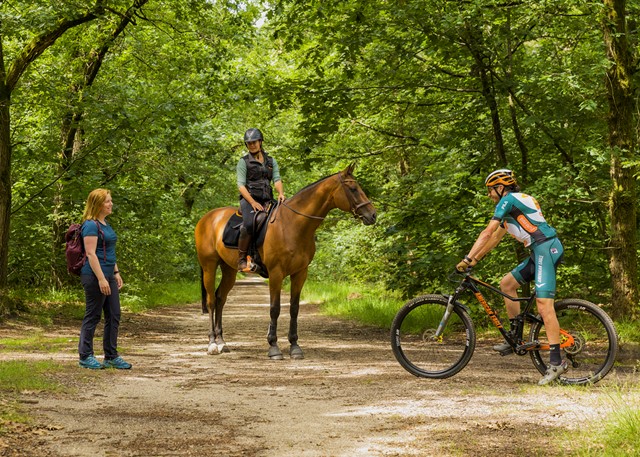 afbeelding van een wandelaar, ruiter en mountainbiker in het bos.