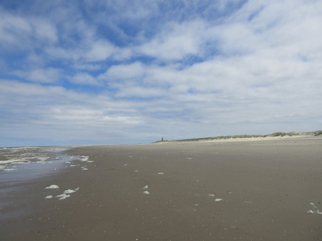 Texel | waddeneilanden