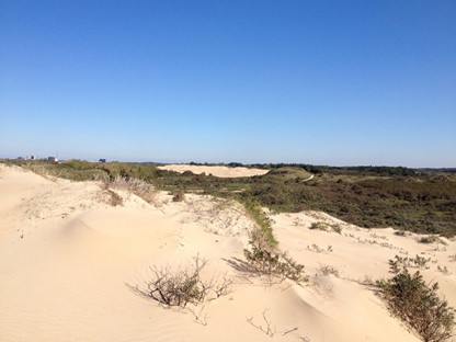 Natuurmonumenten | duintoppen | Nationaal Park | Zuid-Kennemerland